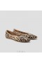  Baletní ploché boty VIVAIA Pointed Cap Ballet Flats (Aria 5°) Ploché boty Tmavý leopard